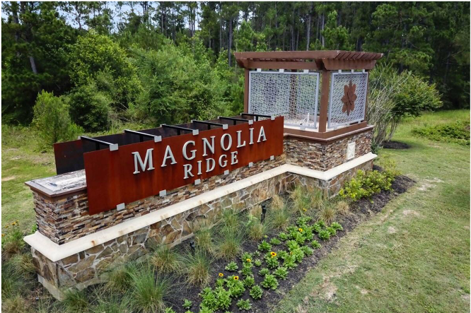 Magnolia